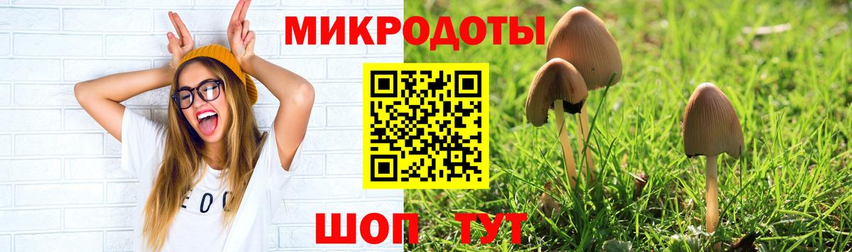 Галлюциногенные грибы GOLDEN TEACHER Кимовск